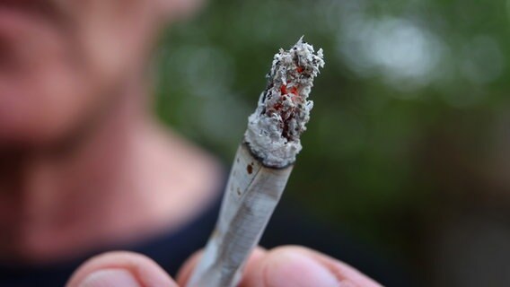 Ein Mann hält einen Joint. © picture alliance/dpa Foto: Karl-Josef Hildenbrand