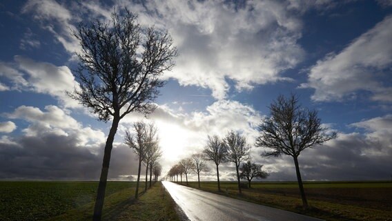 Eine von Bäumen gesäumte Landstraße, darüber ein blauer Himmel mit teils dunklen Wolken. © dpa Foto: Thomas Frey